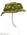 Панама UF PRO Boonie Hat, камуфляж GreenZone